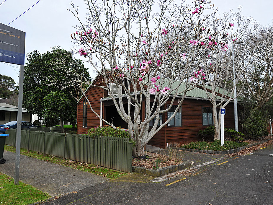 Mt Eden spanish classes, lessons and school